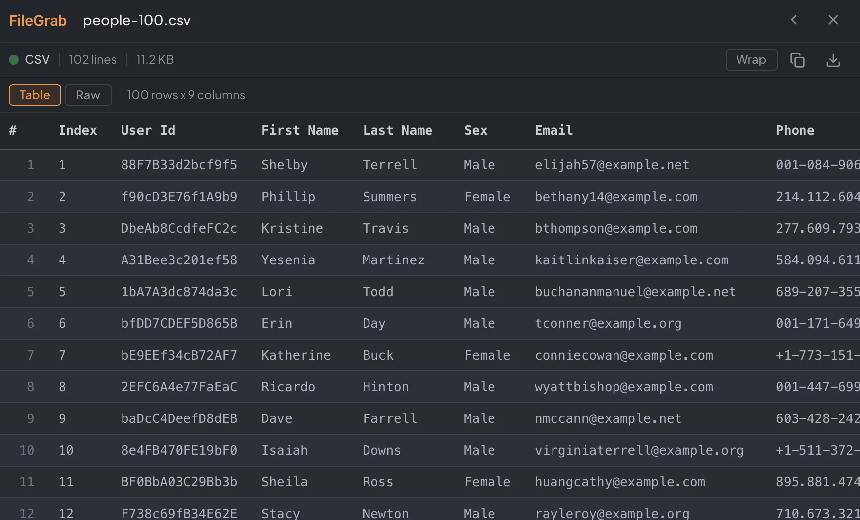 CSV file displayed as an interactive table with column headers and row numbers